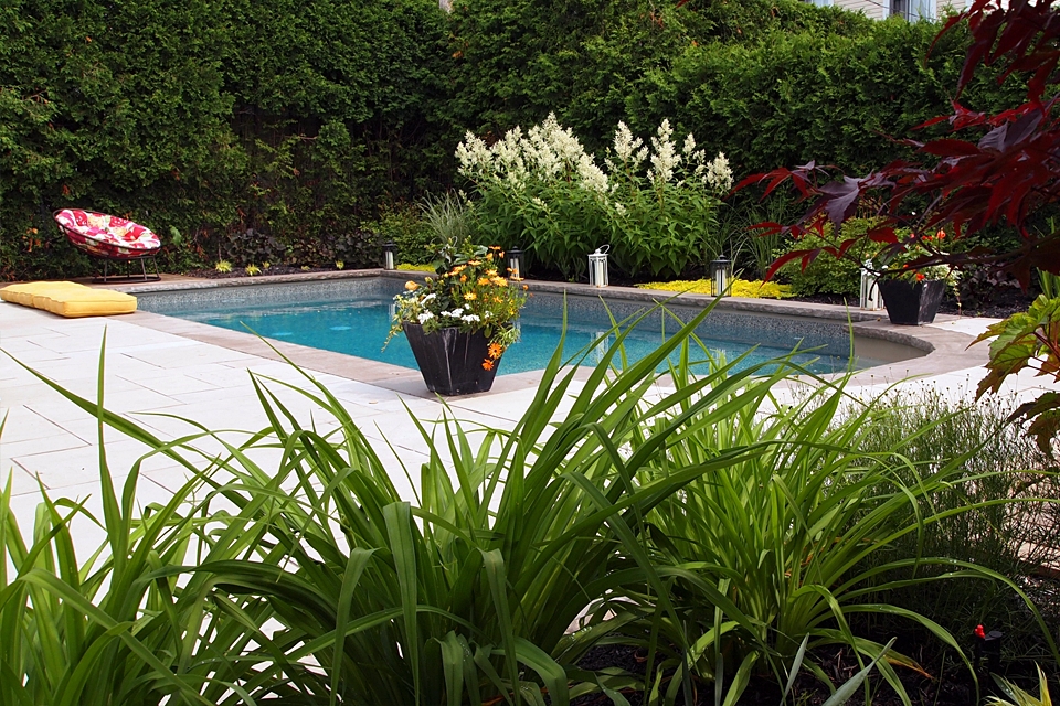 Quelles plantes pour aménager les contours de sa piscine ?