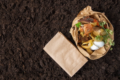 Qu'est-ce que le compostage et comment le réussir ?